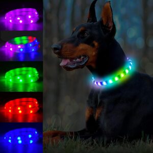Home rechargeable led dog collar2