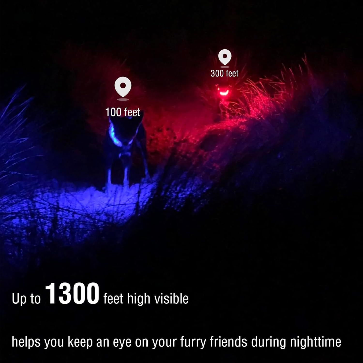 rechargeable led dog collar3 rechargeable led dog collar3