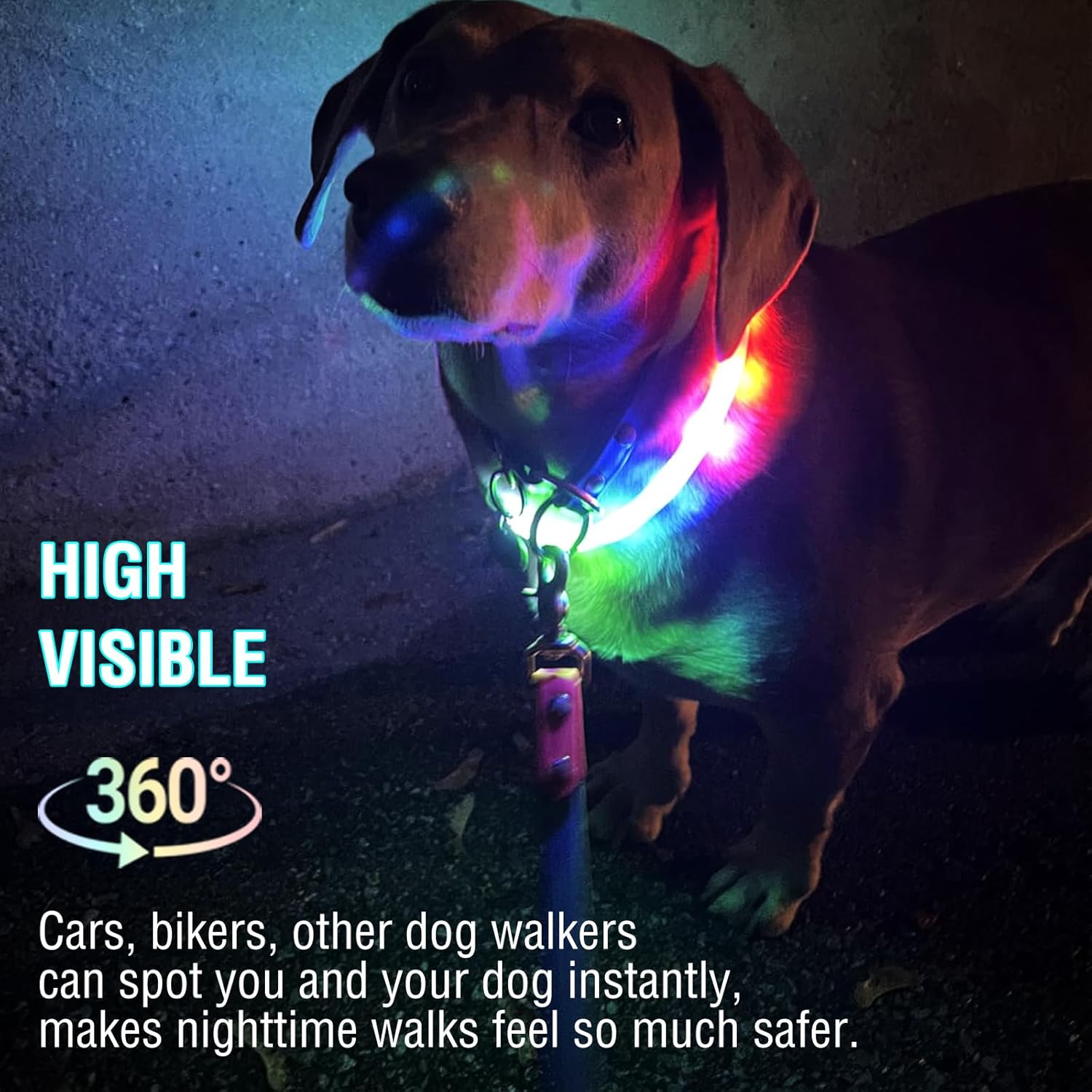 rechargeable led dog collar5 rechargeable led dog collar5